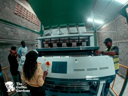 TCG Factory, Colour Sorter, Export, Mbale3.jpg