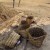 5 709 Tanzania Sambewe Washed_2_R.jpg