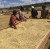 wave-tanzania2.jpeg