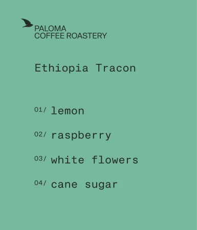 ethiopia-tracon-opis.jpg