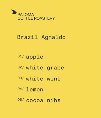 opis-brazil-agnaldo.jpg