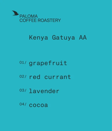 opis-kenya-gatuya.jpg