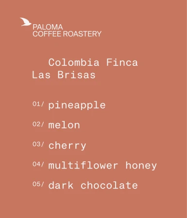 opis-colombia-finca-las-brisas.jpg