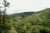 Cafe_Imports_Colombia_Finca_Juan_Martin9-2022-07-27-180905.jpg