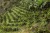 Cafe_Imports_Colombia_Finca_Juan_Martin8-2022-07-27-180905.jpg
