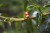 Cafe_Imports_Colombia_Finca_Juan_Martin7-2022-07-27-180903.jpg