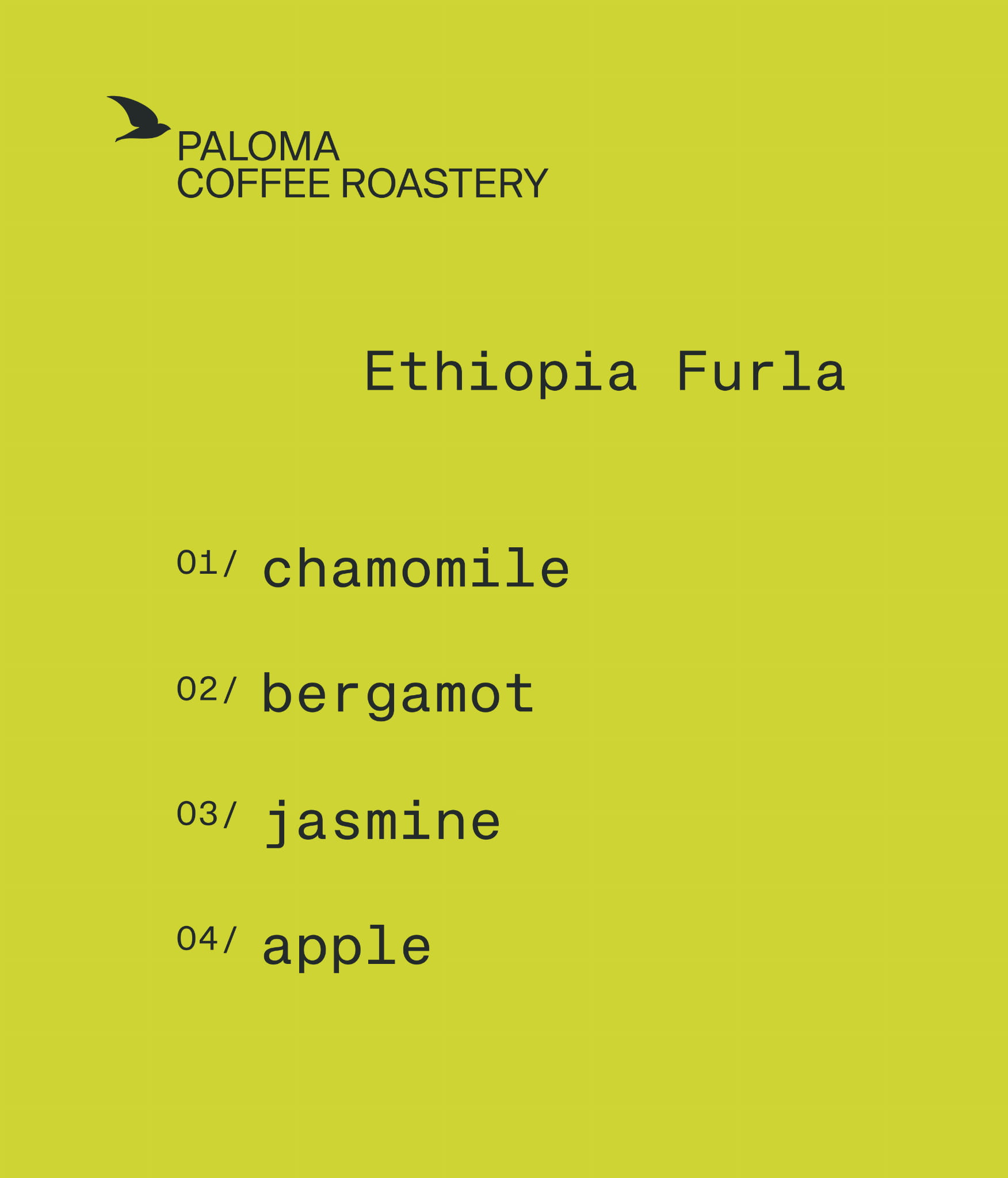 etiopia-furla-opis.jpg