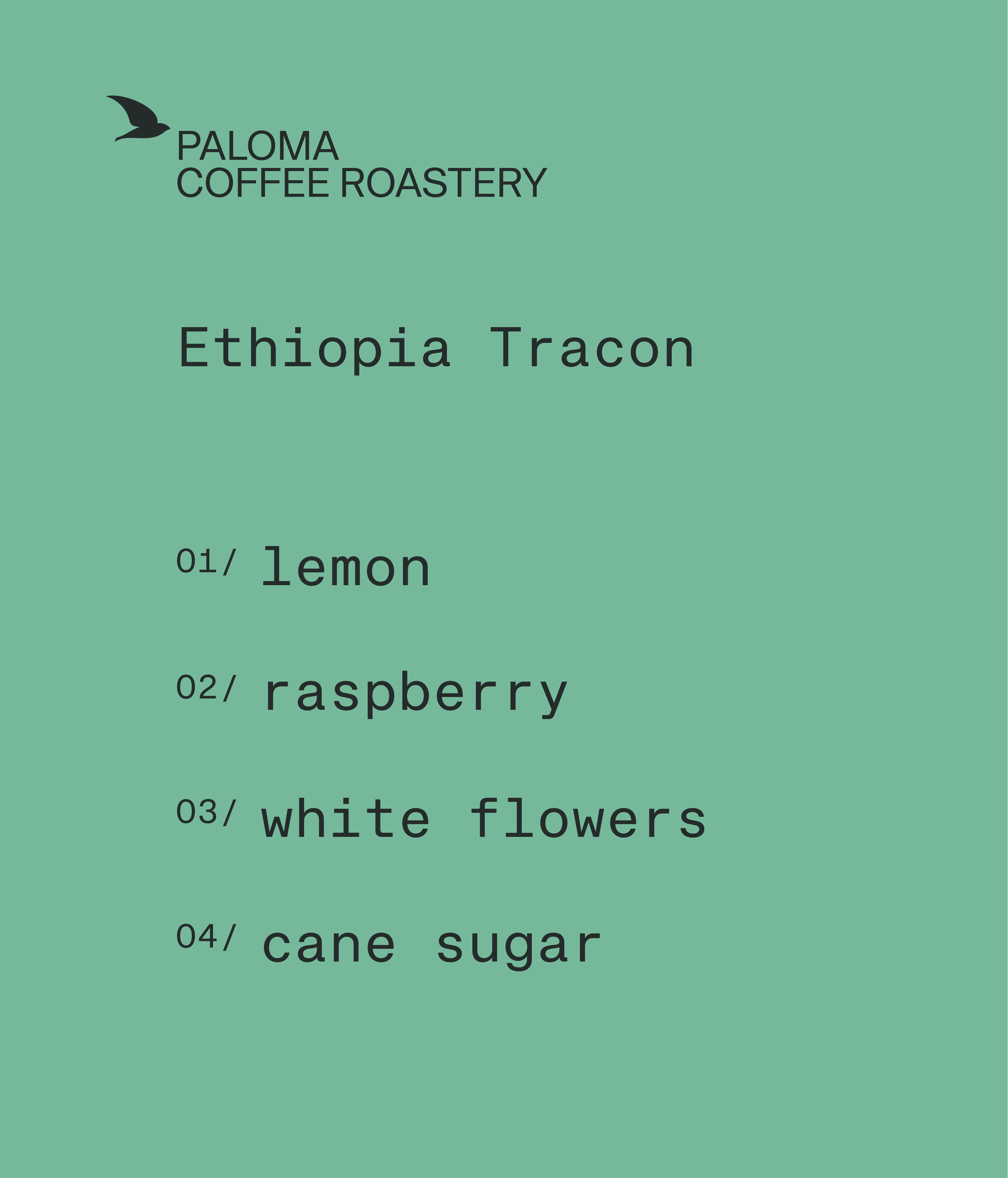 ethiopia-tracon-opis.jpg