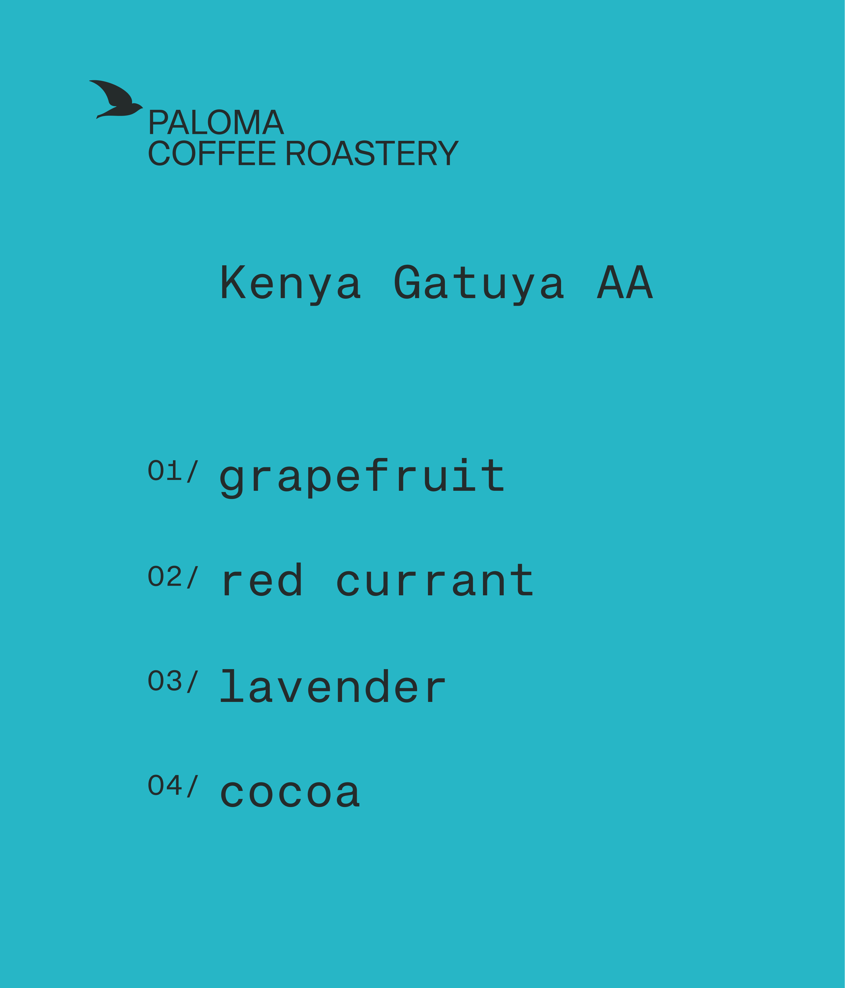 opis-kenya-gatuya.jpg